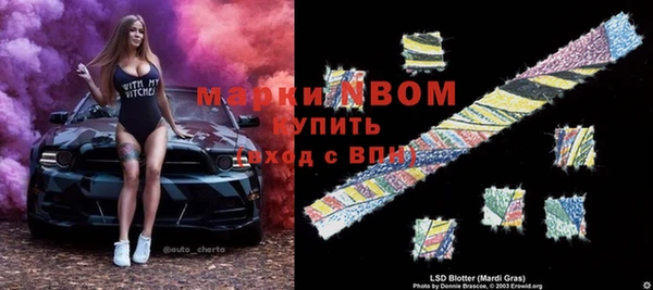 ГАЛЛЮЦИНОГЕННЫЕ ГРИБЫ Касимов