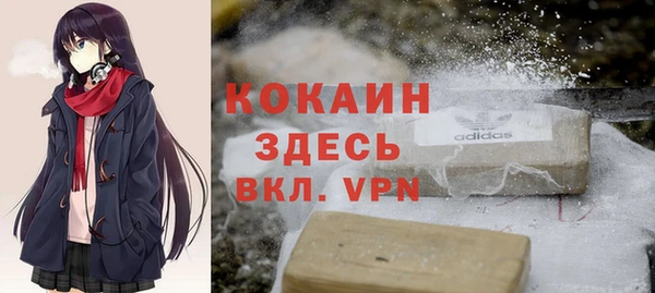 ГАЛЛЮЦИНОГЕННЫЕ ГРИБЫ Касимов